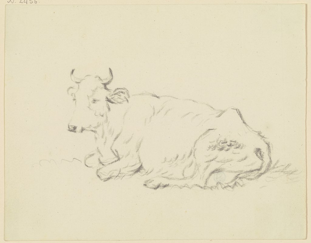 Liegende Kuh nach links, Friedrich Wilhelm Hirt