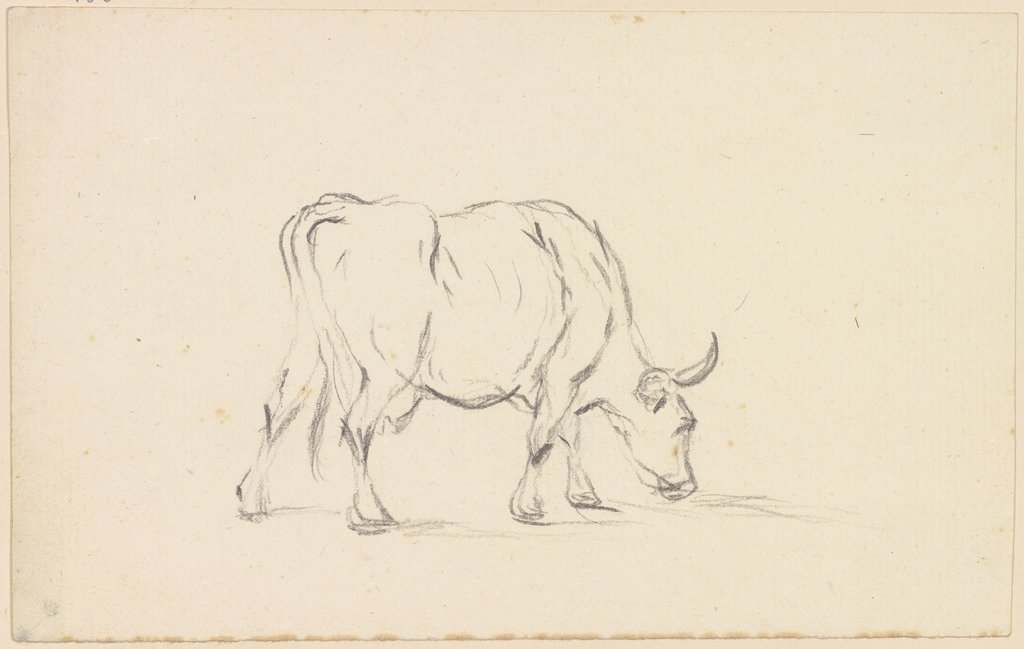 Grasende Kuh nach rechts, Friedrich Wilhelm Hirt
