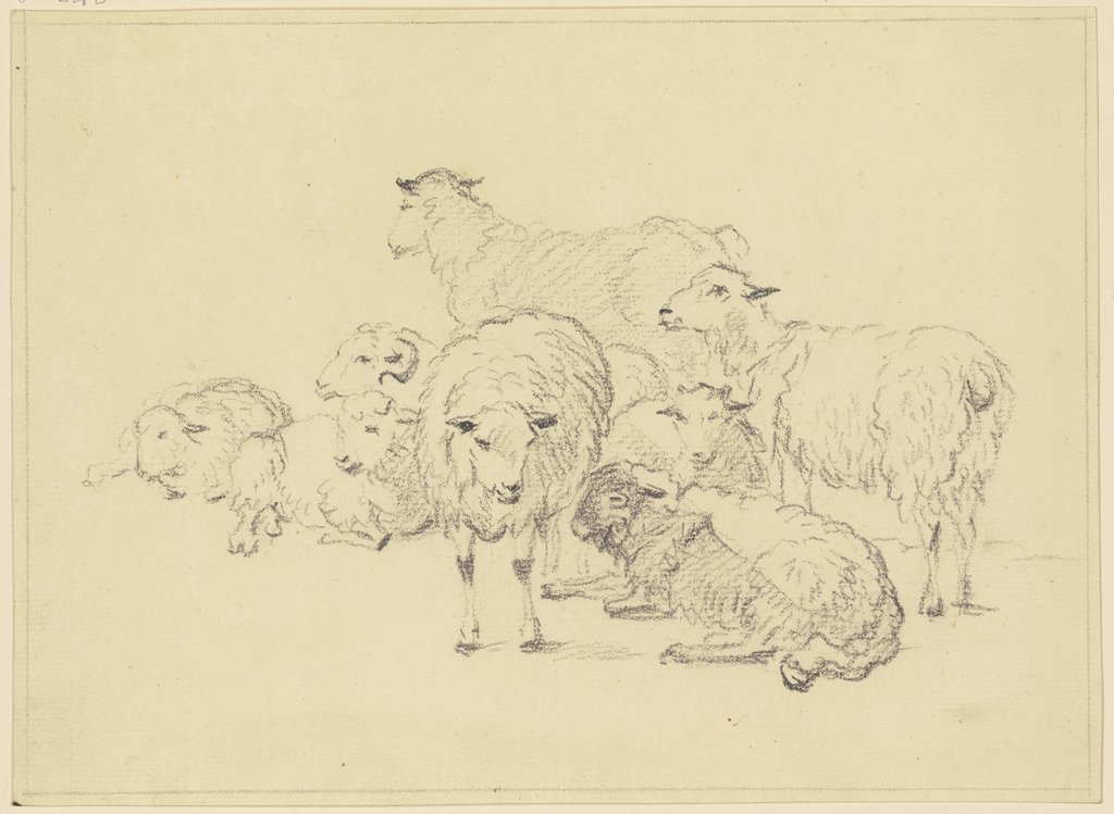 Seven sheep, Friedrich Wilhelm Hirt