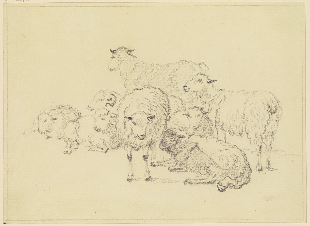 Sieben Schafe, Friedrich Wilhelm Hirt