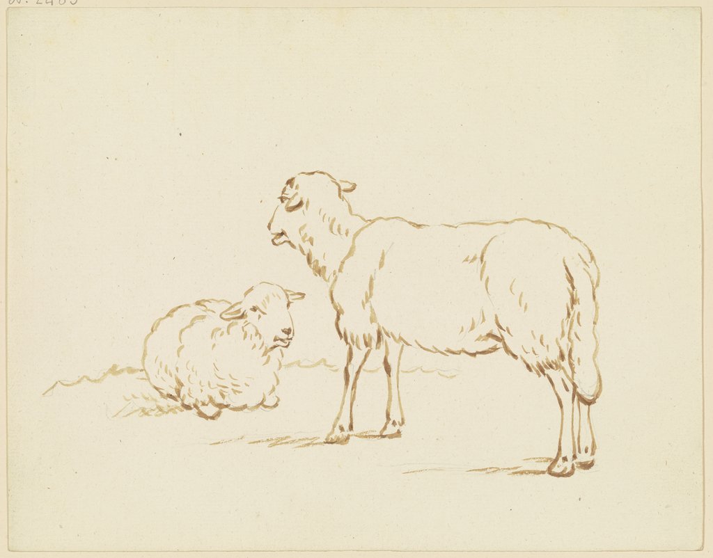Two sheep, Friedrich Wilhelm Hirt