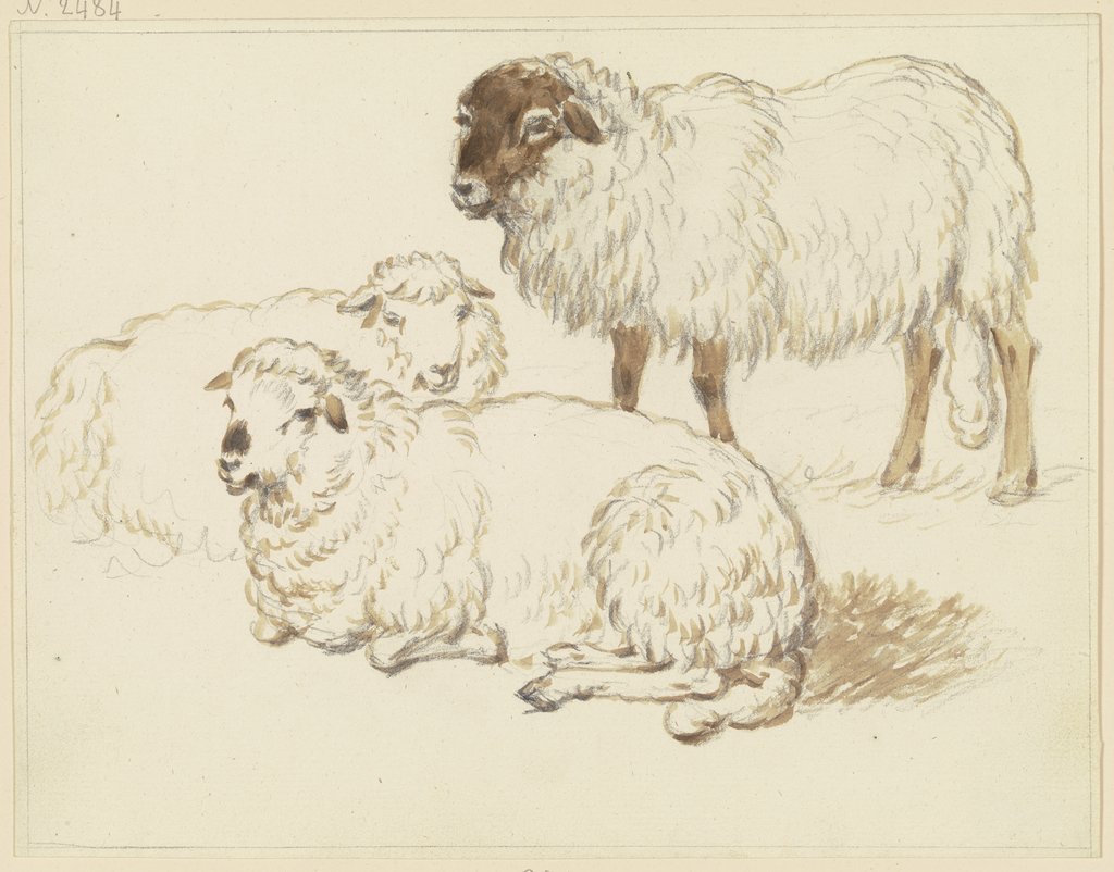 Three sheep, Friedrich Wilhelm Hirt