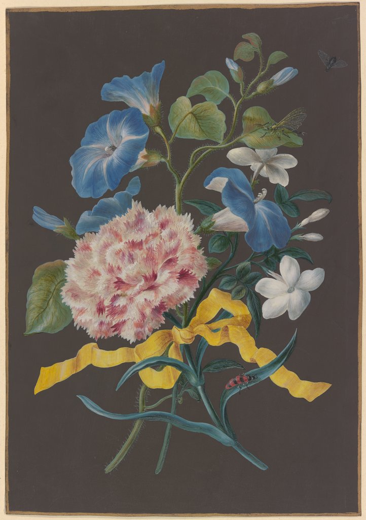 Blumengebinde mit rosa Nelke (Dianthus), blauer Winde (Convolvulus) und weißem Jasmin (Jasminum), mit rotschwarz getreiftem Käfer, Libelle und Fliege, Barbara Regina Dietzsch;  circle; attributed