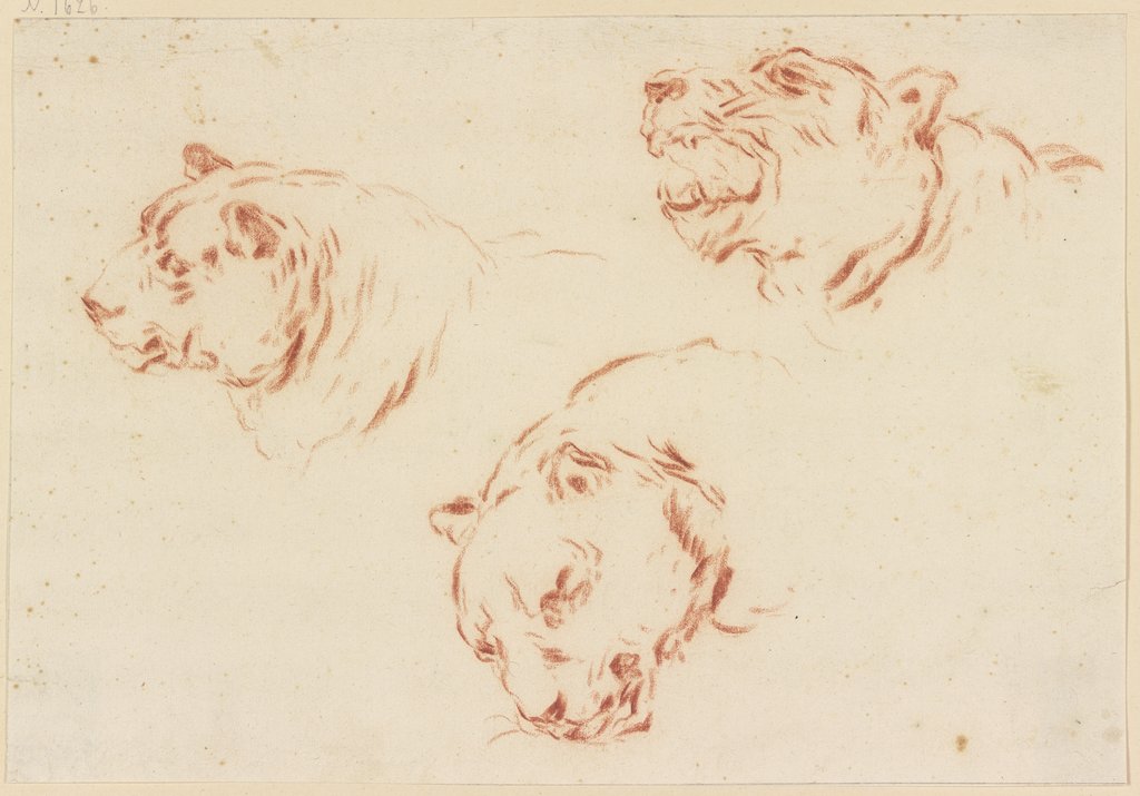 Three tiger heads, Johann Melchior Roos