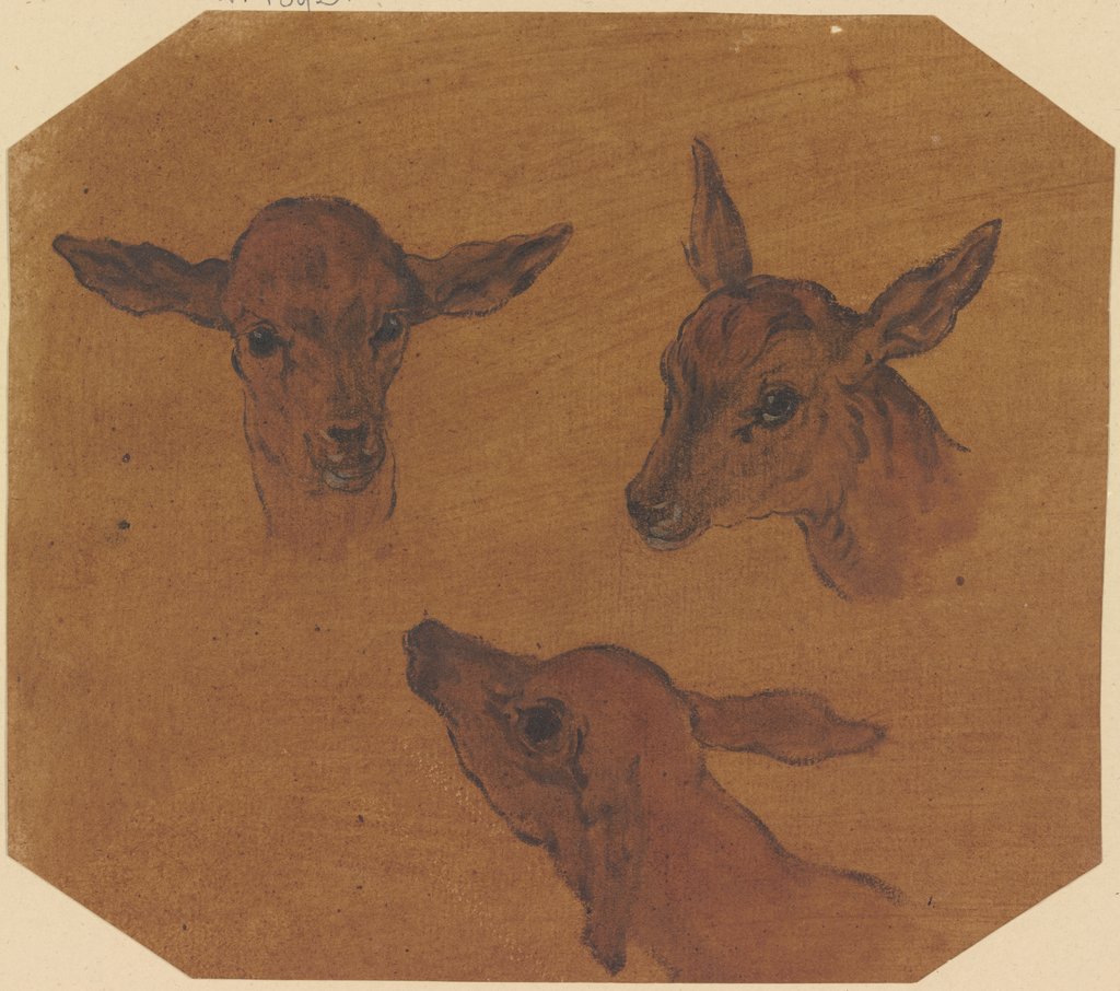 Three doe heads, Johann Melchior Roos