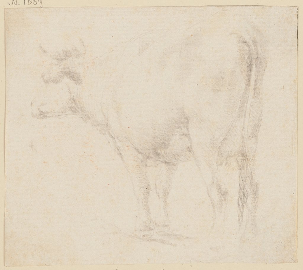 Standing cow to the left, Johann Heinrich Roos
