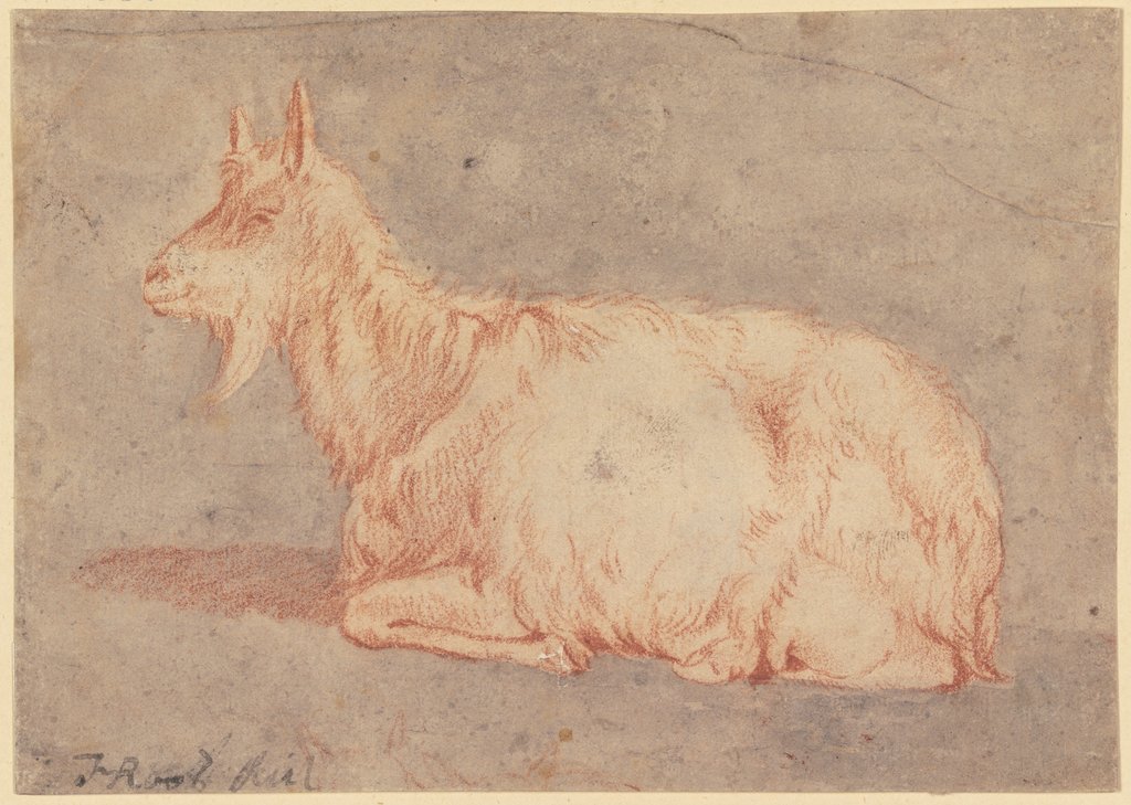 Lying goat to the left, Johann Heinrich Roos