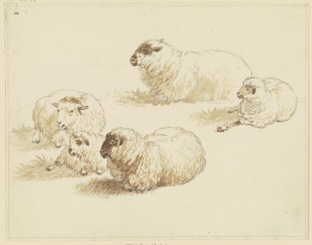 Five sheep, Friedrich Wilhelm Hirt