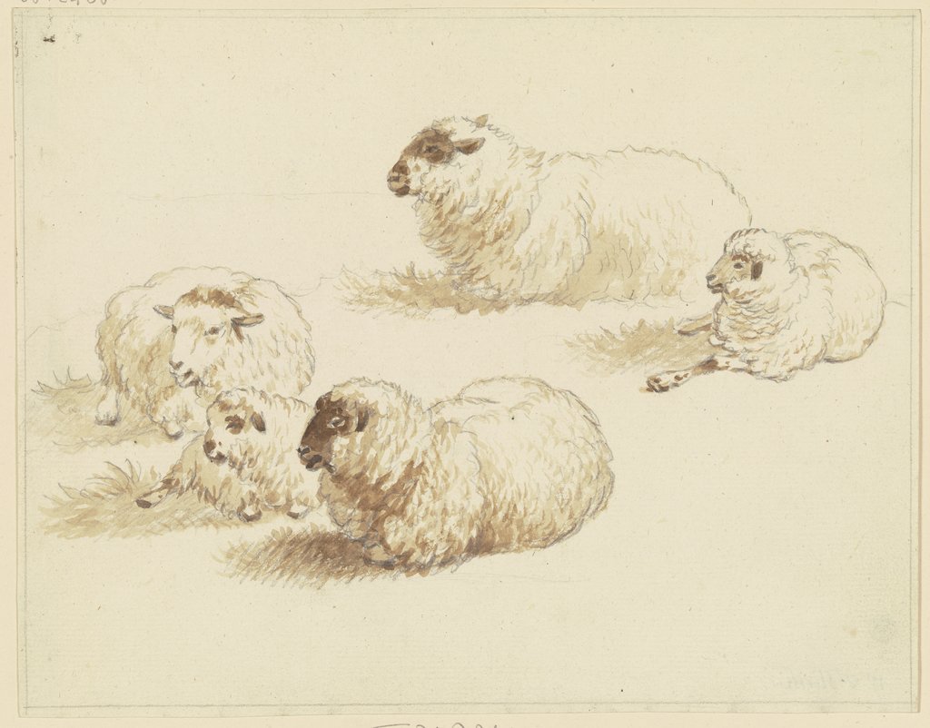 Fünf Schafe, Friedrich Wilhelm Hirt