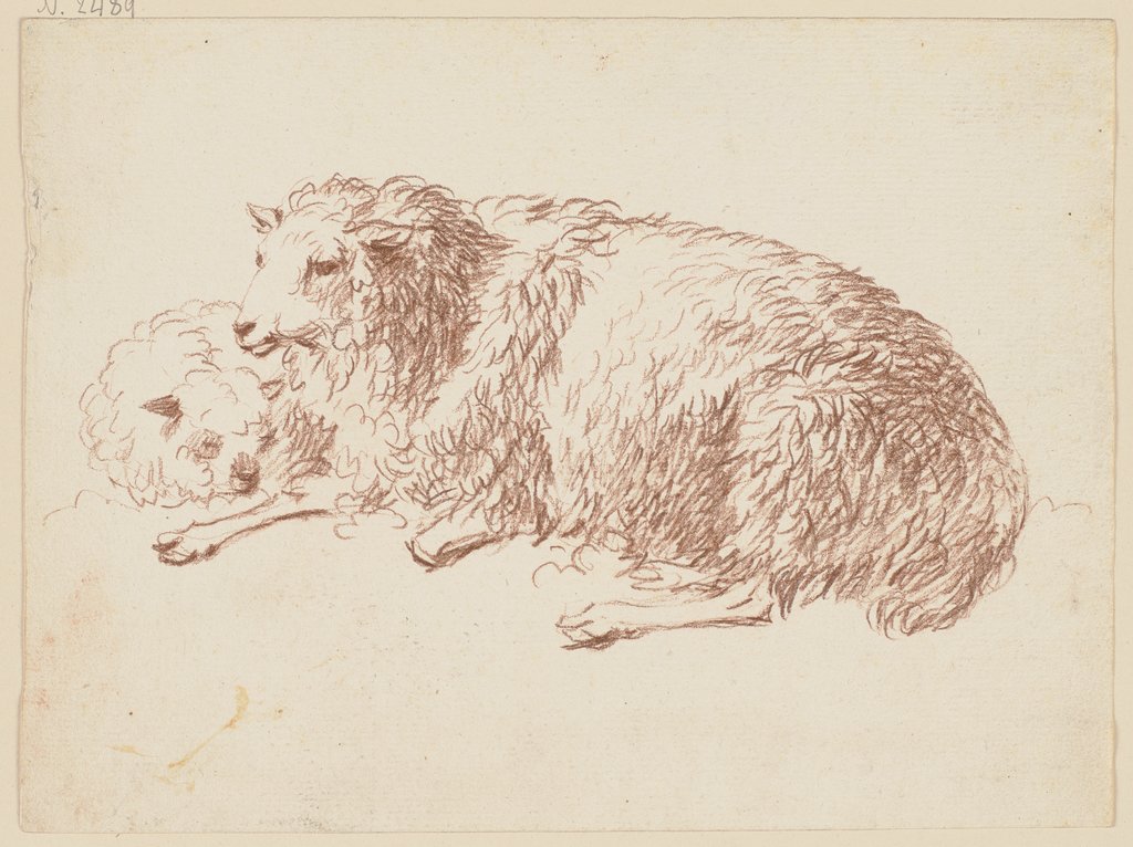 Two lying sheep, Friedrich Wilhelm Hirt