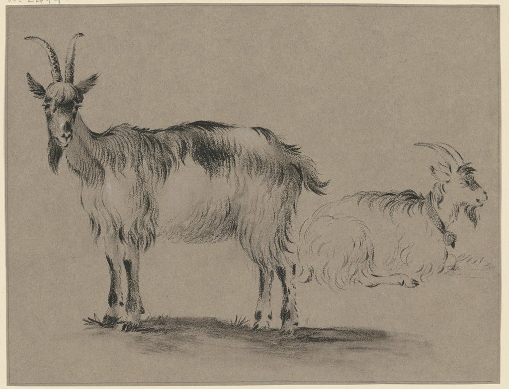 Stehende und liegende Ziege, Friedrich Wilhelm Hirt