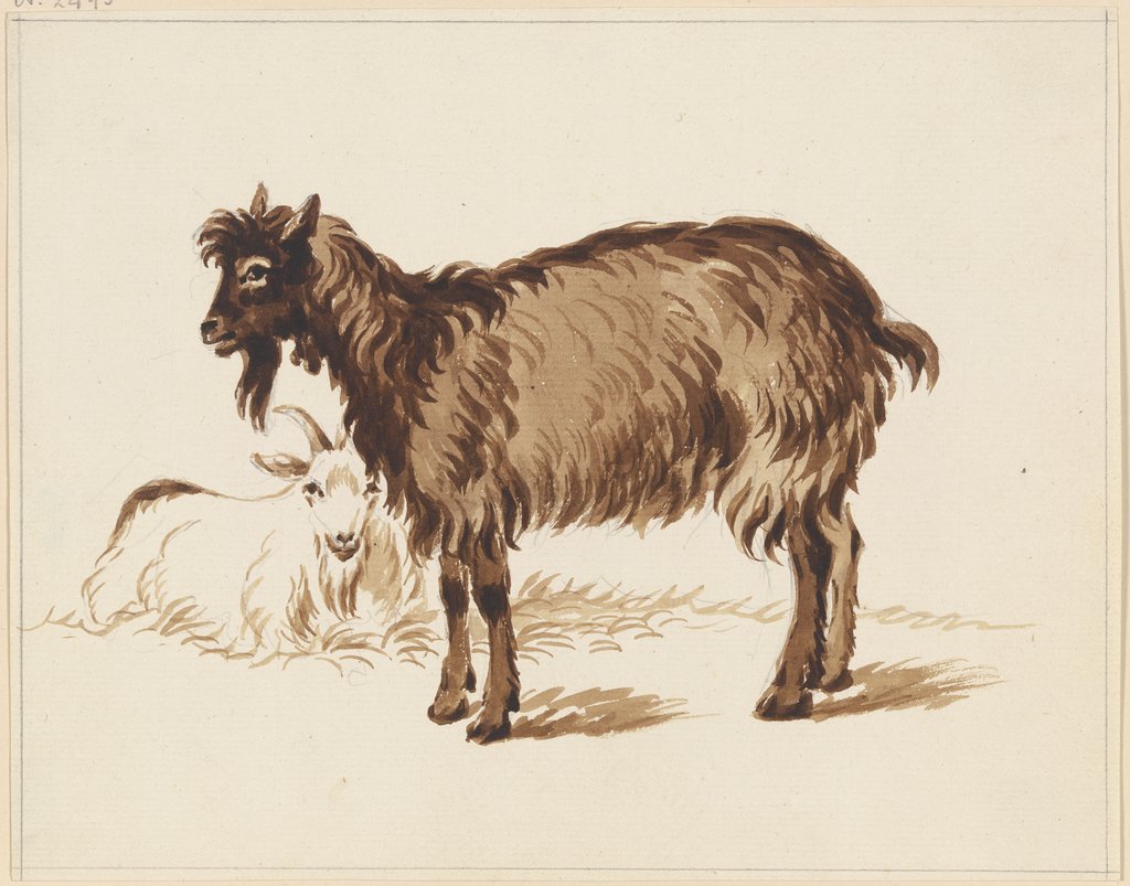 Stehende und liegende Ziege, Friedrich Wilhelm Hirt