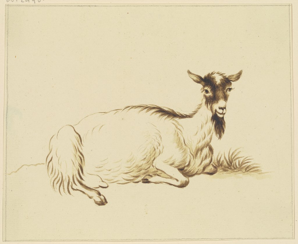 Lying goat to the right, Friedrich Wilhelm Hirt