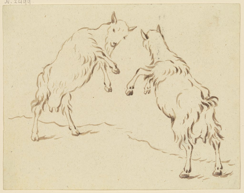 Zwei Ziegen, einander angreifend, Friedrich Wilhelm Hirt