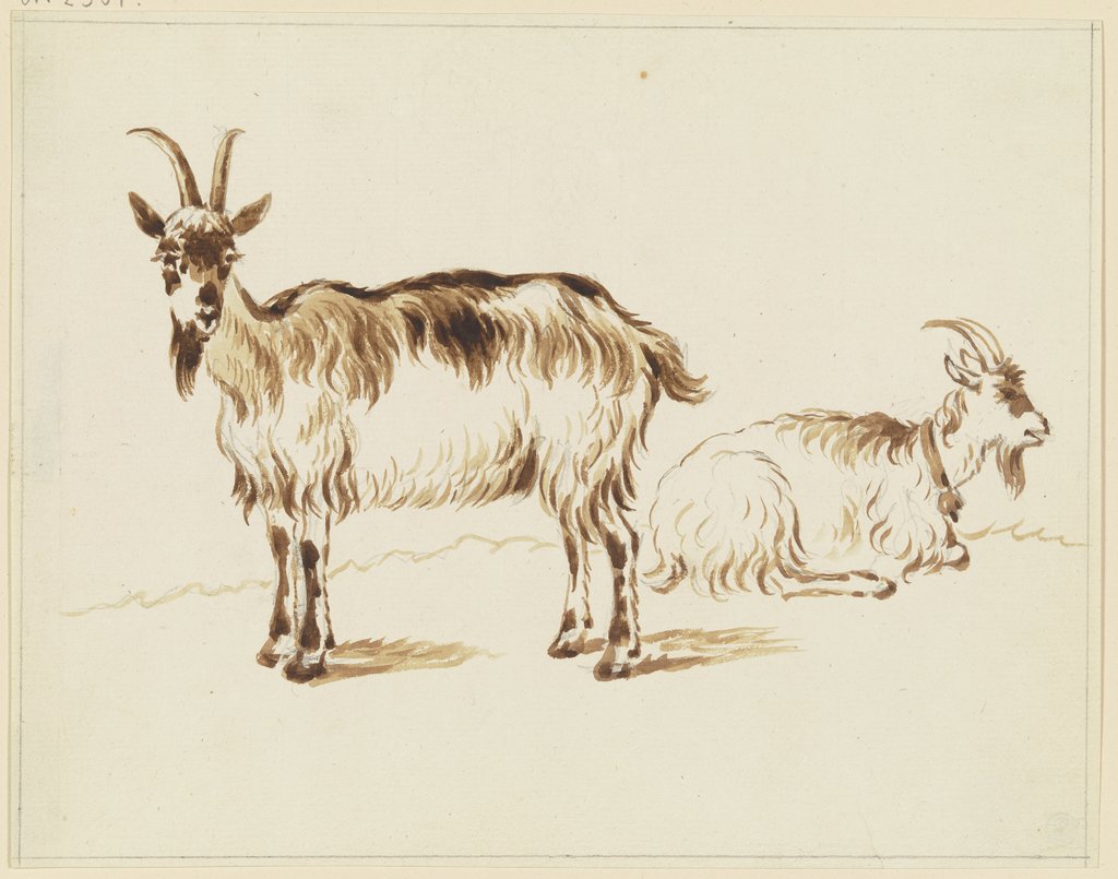 Zwei Ziegen, die stehende nach links, die liegende nach rechts, Friedrich Wilhelm Hirt