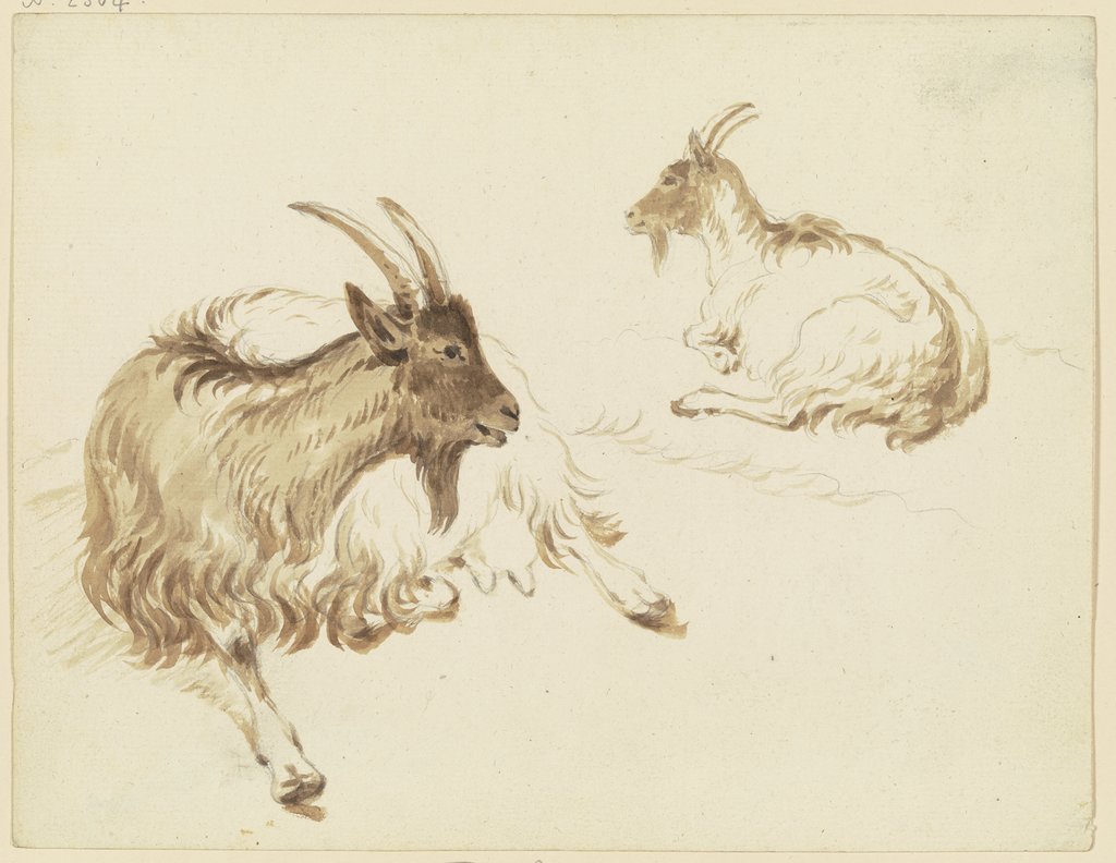 Two lying goats, Friedrich Wilhelm Hirt