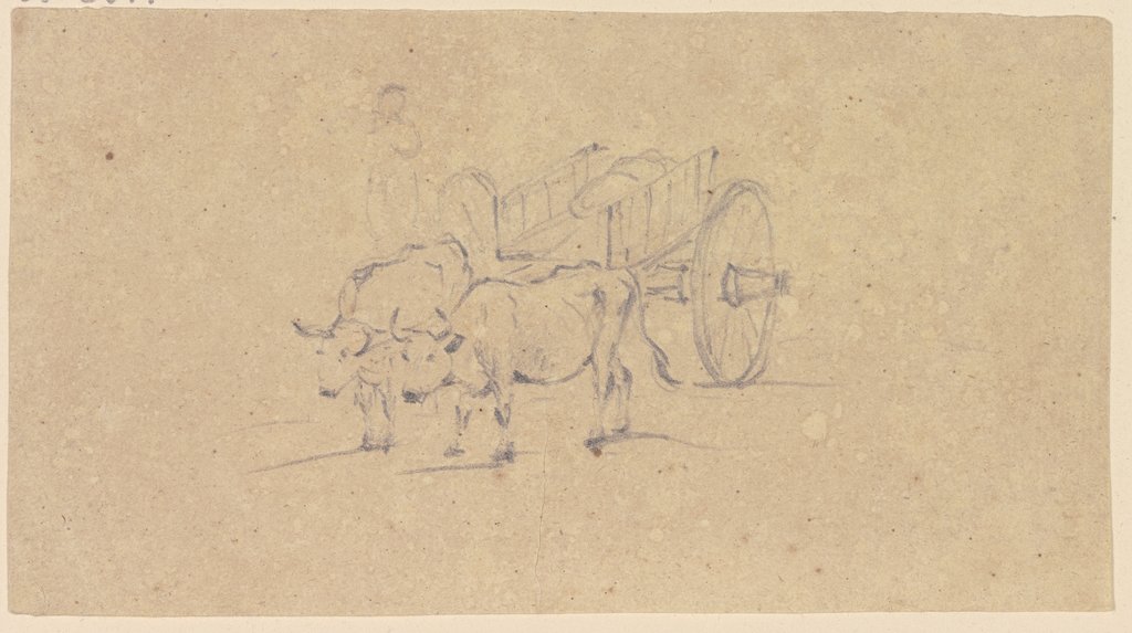 Zwei Ochsen ziehen einen Karren, von vorne gesehen, Friedrich Wilhelm Hirt