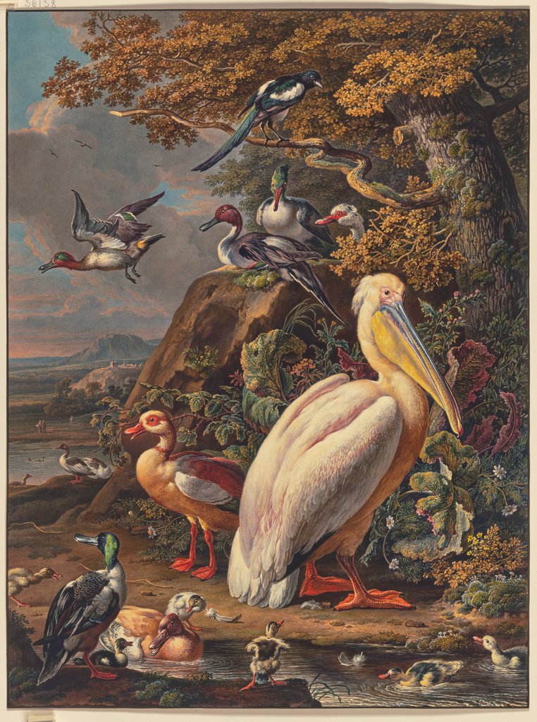 Ein Pelikan und eine Menge Wasservögel bei einer Eiche am Wasser, oben links fliegt eine Elster, Niederländisch, 17. Jahrhundert, nach Melchior de Hondecoeter