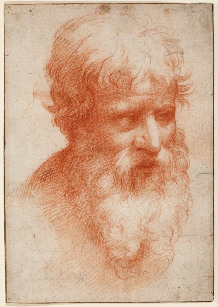 Bärtiger Männerkopf nach rechts, Parmigianino