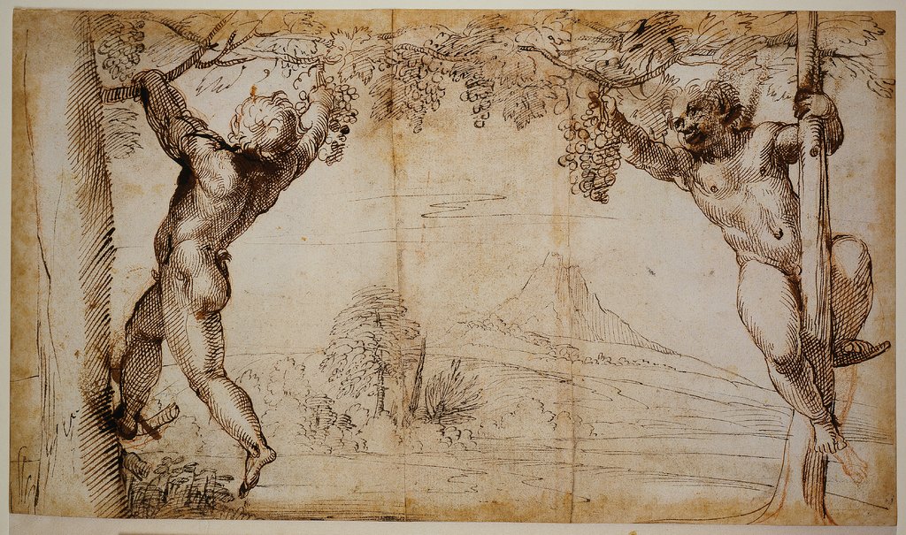 Two boy satyrs picking grapes, Annibale Carracci;   attributed