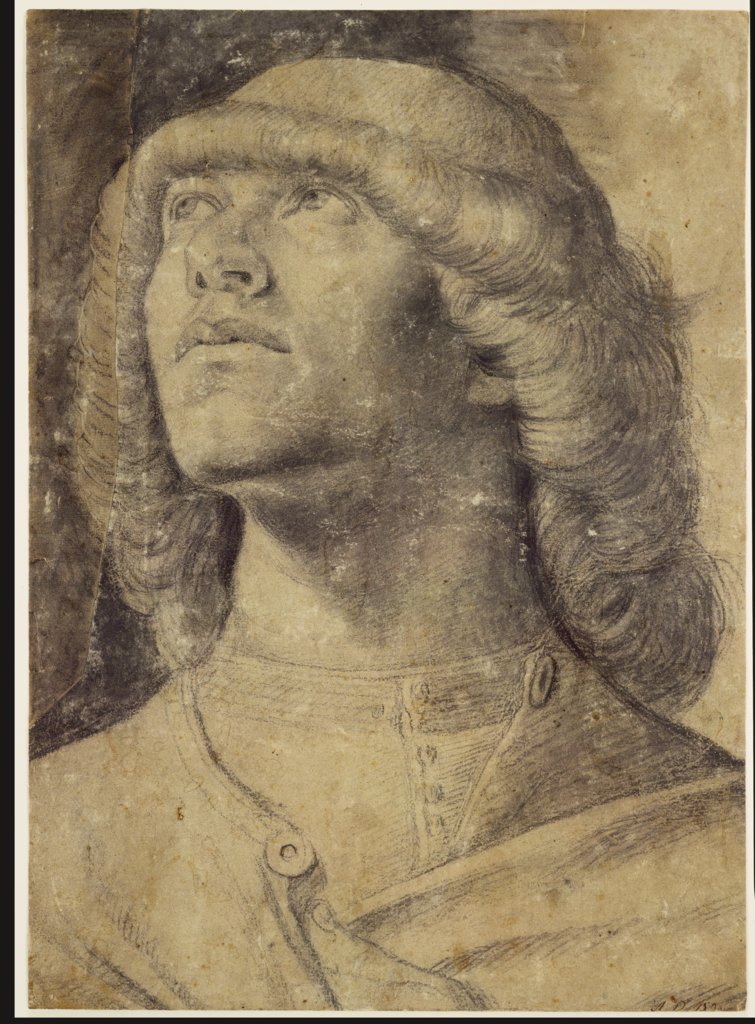 Half-length portrait of a youth looking upwards, Venetian, 15th century