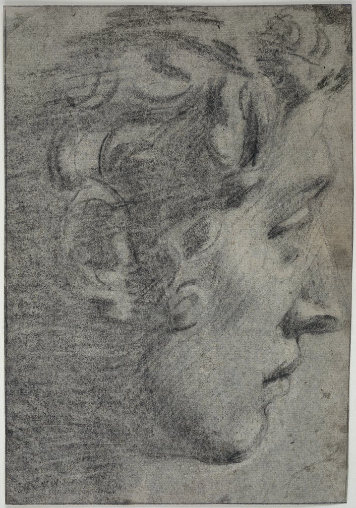 Studie nach Michelangelos Kopf des Giuliano de' Medici, Tintoretto;  Werkstatt