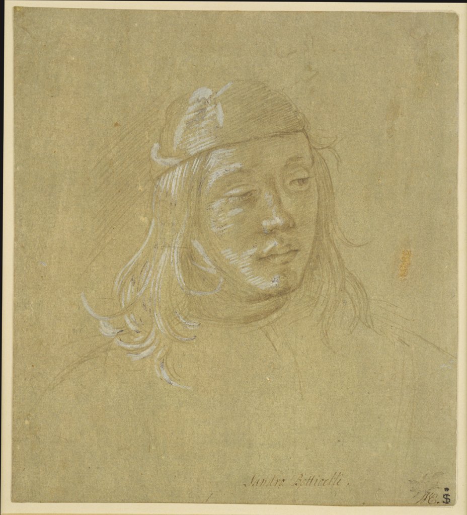 Bildnisstudie eines jungen Mannes, Filippino Lippi
