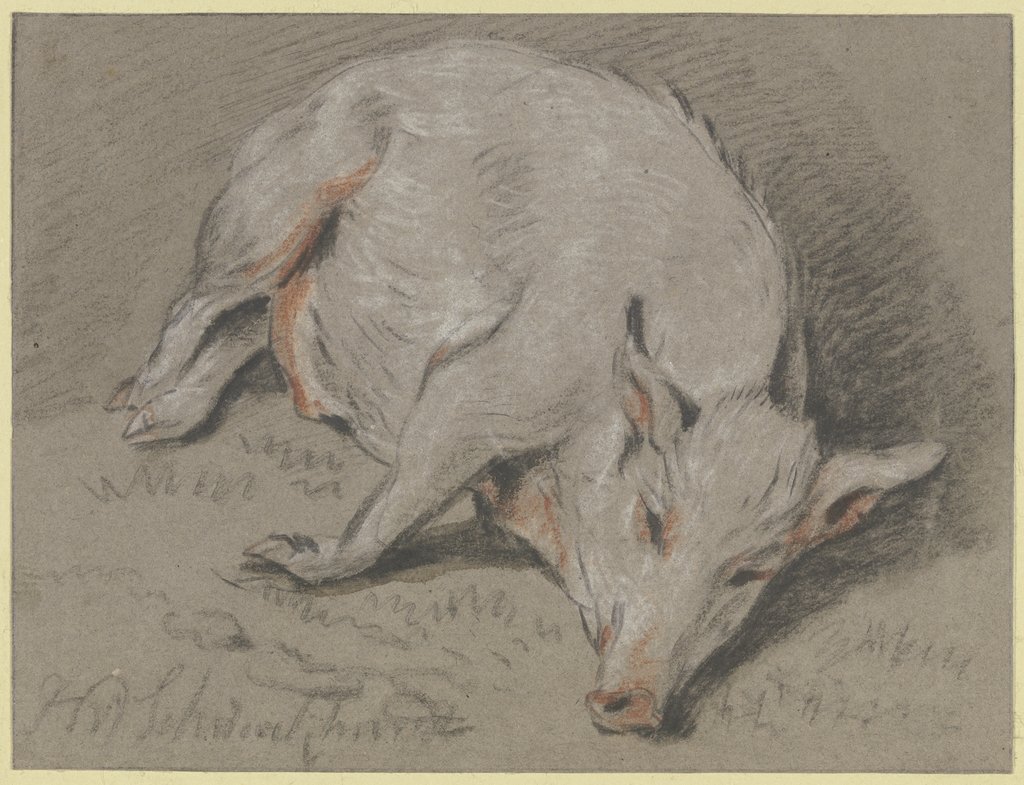 Liegendes Schwein, Heinrich Wilhelm Schweickhardt