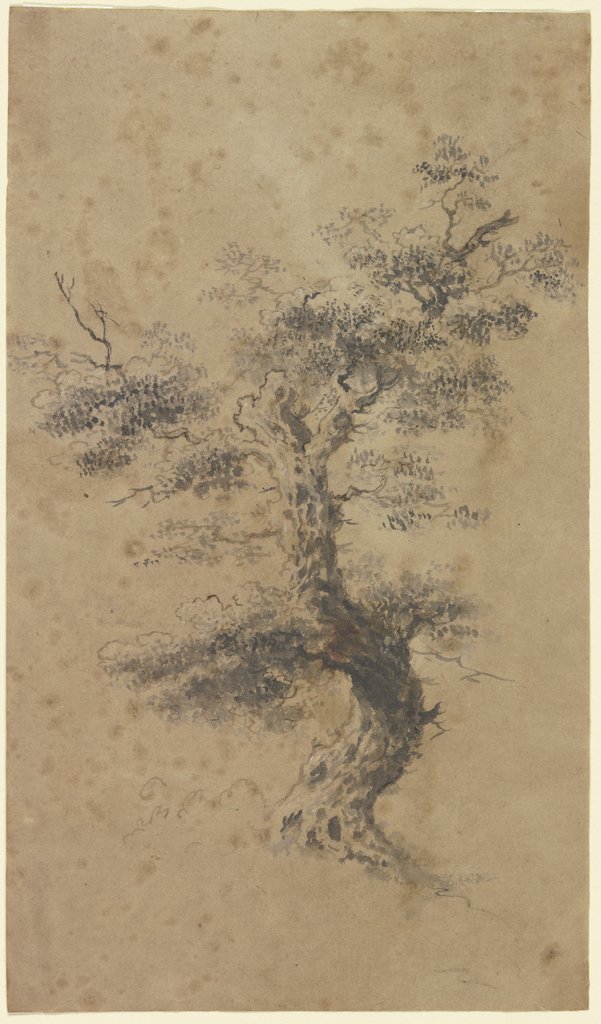 Old tree, Georg Melchior Kraus