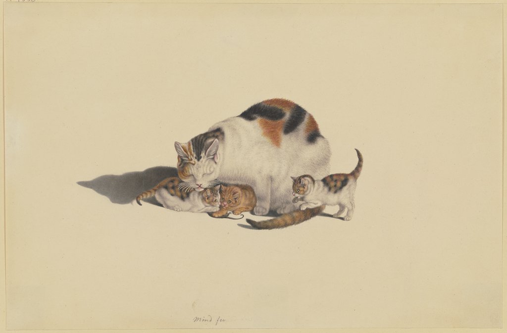Weiße Katze, schwarz und rotbraun gefleckt, mit ihren drei Jungen, die mit einer Maus spielen, Gottfried Mind