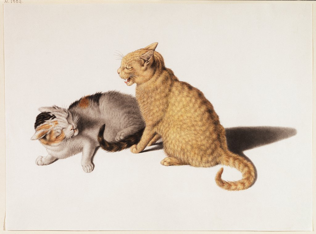 Zwei junge Katzen im Streit, Gottfried Mind
