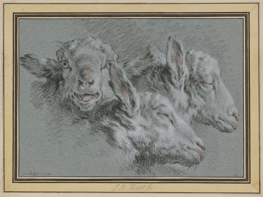 Drei Schafsköpfe, wachend und schlafend, Jean-Baptiste Huet