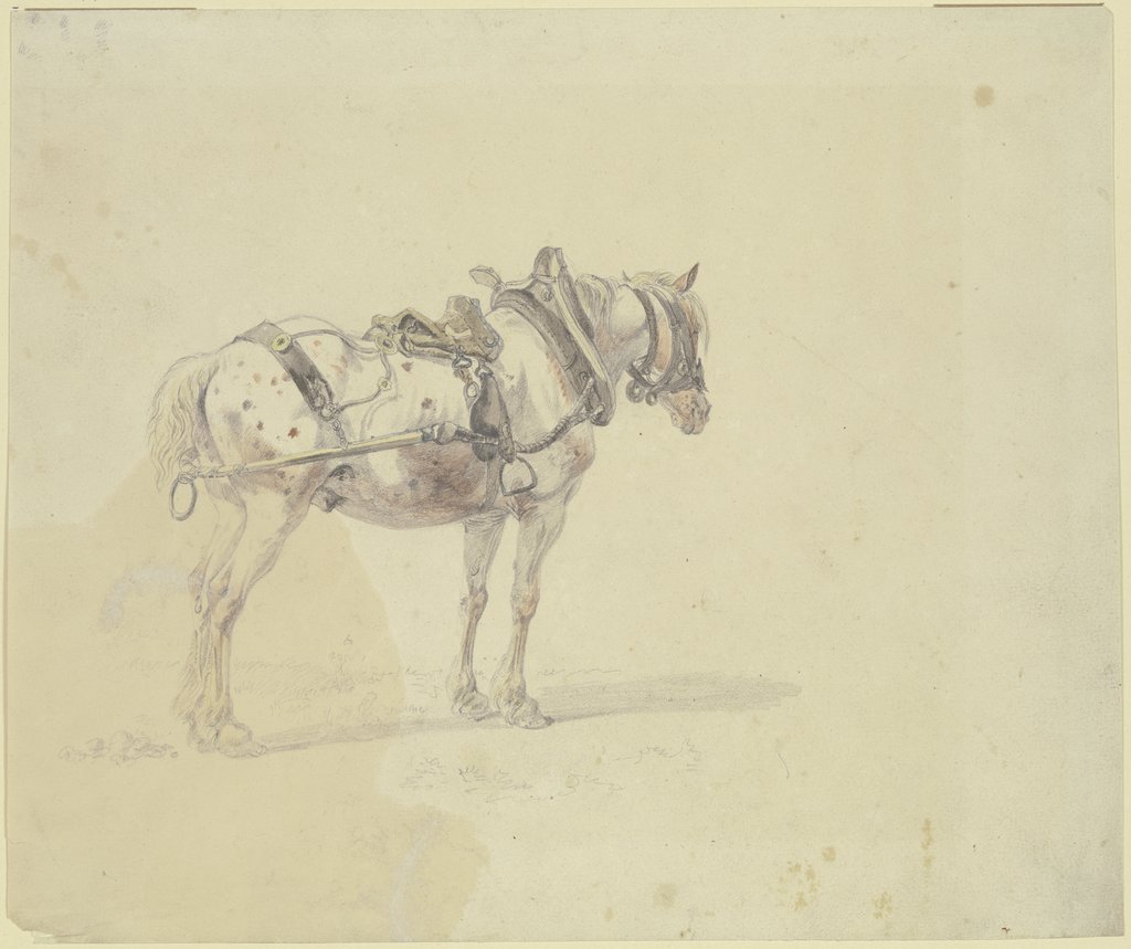 Harnessed horse, Heinrich Bürkel