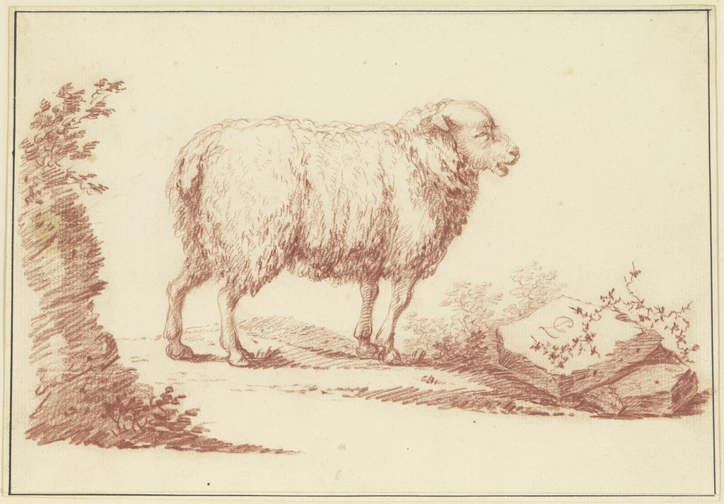 A sheep to the right, Johann Ludwig von Pfeiff