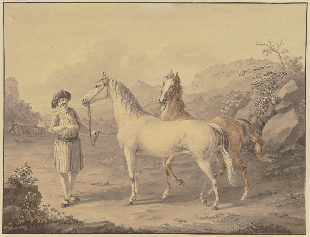 Arabische Pferde, Johann Georg Pforr