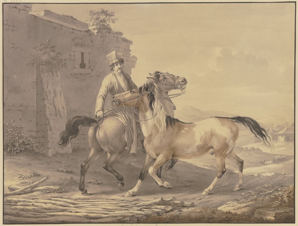 Polish horses, Johann Georg Pforr