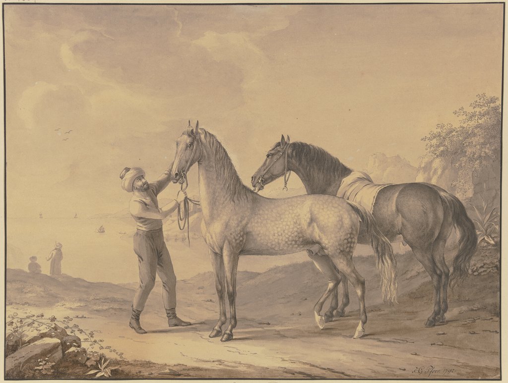 Pferde aus Tunis, Johann Georg Pforr