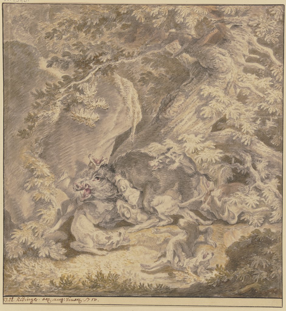 Ein Eber von sieben Hunden im Wald bei einem Felsen gestellt, Johann Elias Ridinger
