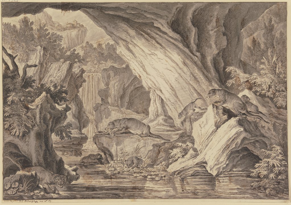 Sechs Fischotter in einer Felsenhöhle am Wasser, Johann Elias Ridinger