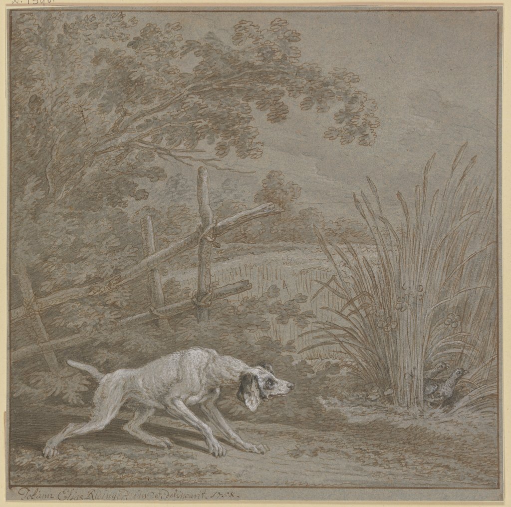 Vorsteherhund auf Rebhühner, Johann Elias Ridinger