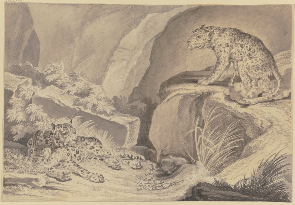 Zwei Jaguare mit ihren Jungen in einer Felsenkluft, Johann Elias Ridinger