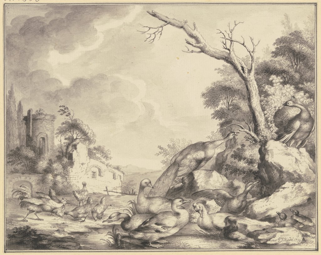 Hühner, Enten und Pfauen an einem Gewässer, Gottlieb Friedrich Riedel
