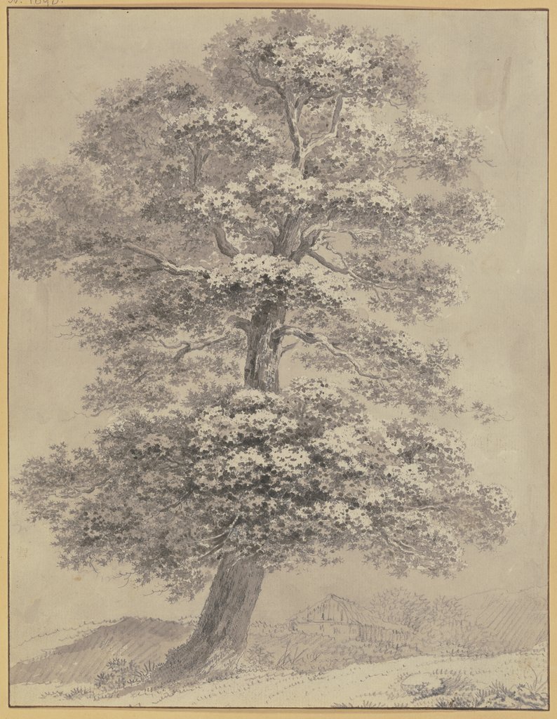 Oak trees, Heinrich Rieter