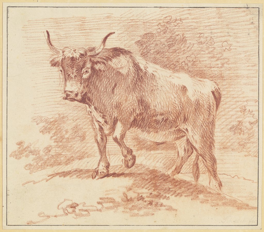 Standing ox to the left, Johann Jakob Schalch
