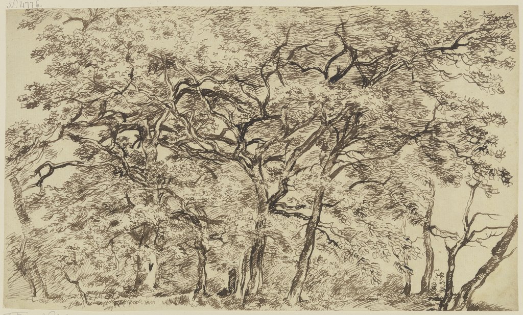 Large group of trees, Franz Innocenz Josef Kobell