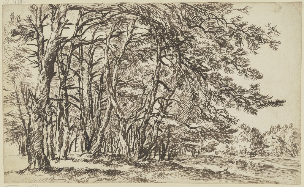Thick group of trees, Franz Innocenz Josef Kobell