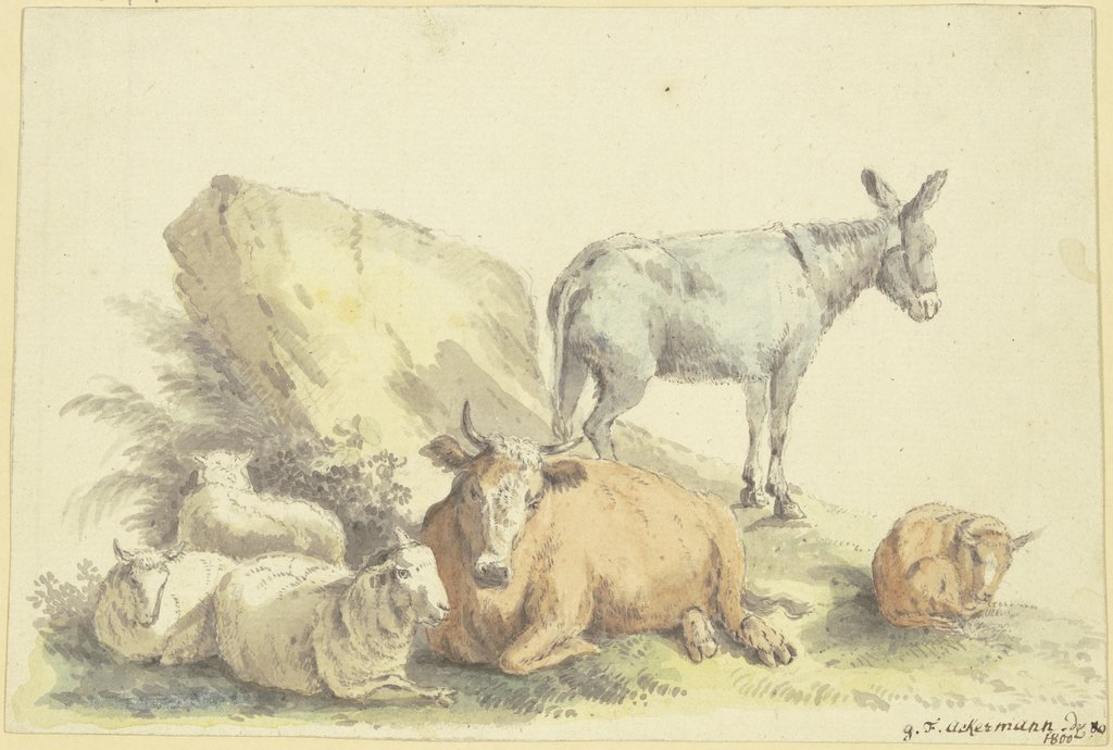 Eine Kuh, drei Schafe, ein Esel und ein Kälbchen, Georg Friedrich Ackermann