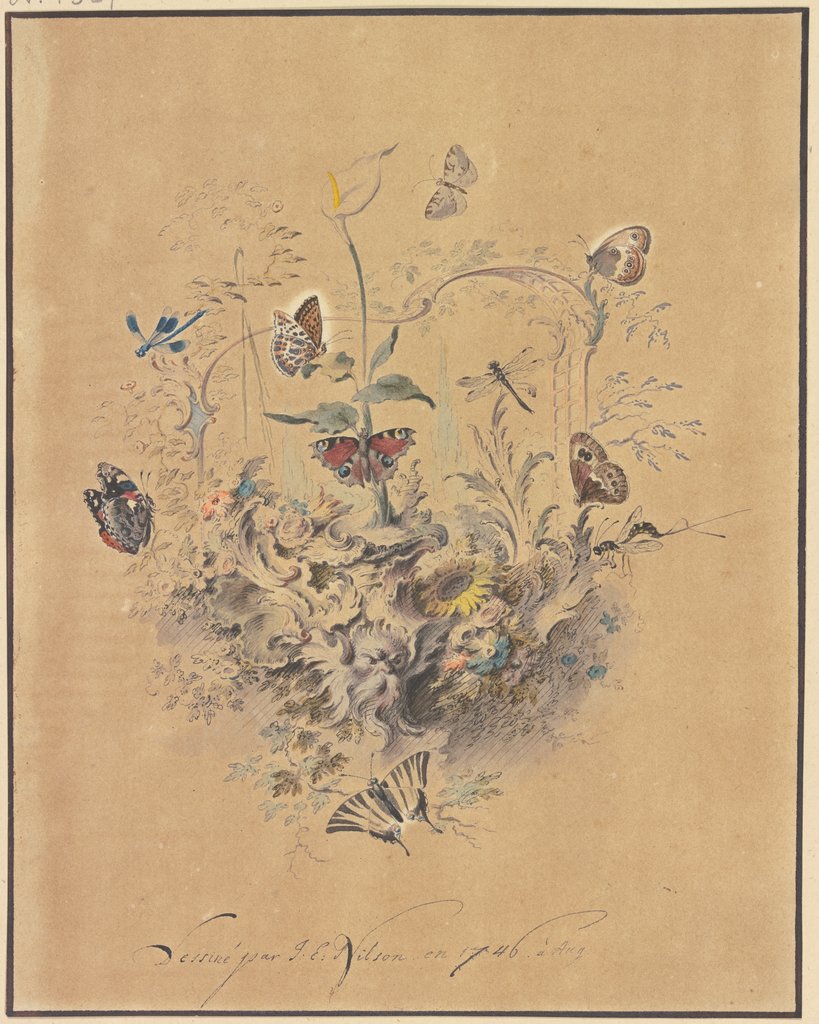 Rocaille-Ornament mit einer Kalla und anderen Blumen, Schmetterlingen wie Perlmutterfalter, Pfauenauge und Segelfalter sowie Libellen und einer Raubmücke, Johannes Esaias Nilson