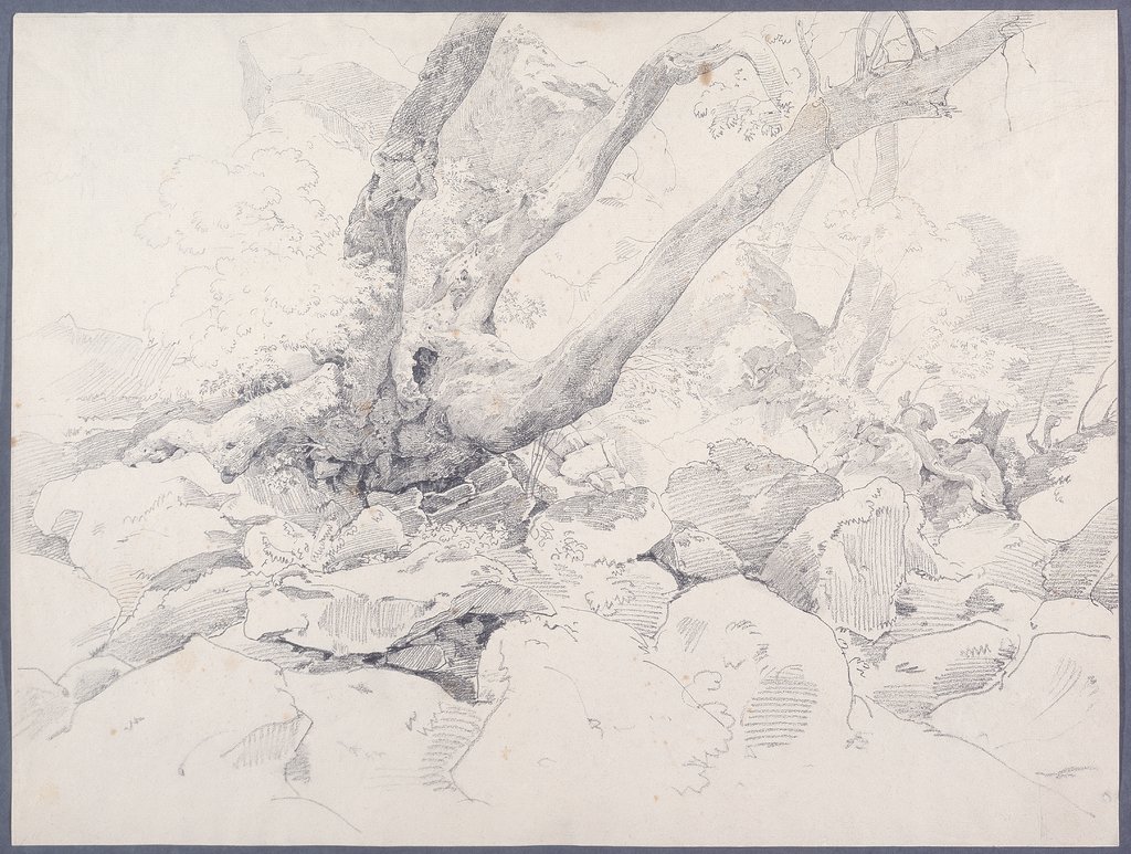 Verkrüppelter Baumstamm auf Felsen bei Ariccia, Ernst Fries