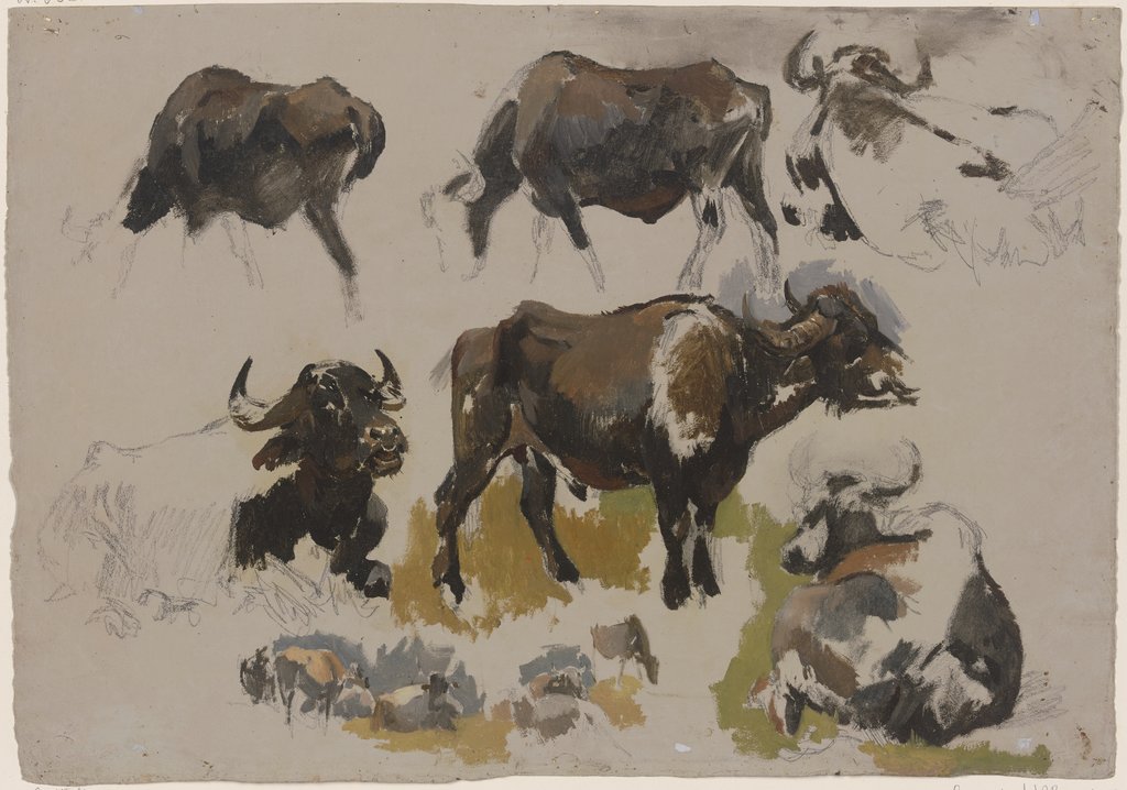 Büffel und Rinder, Johann Nepomuk Rauch
